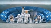 2014 Kia Sorento Limited: Space Babies: David&Goliath