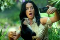 Katy Perry, Roar