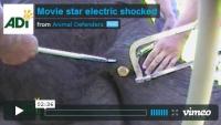 Movie Star Electric Shocked